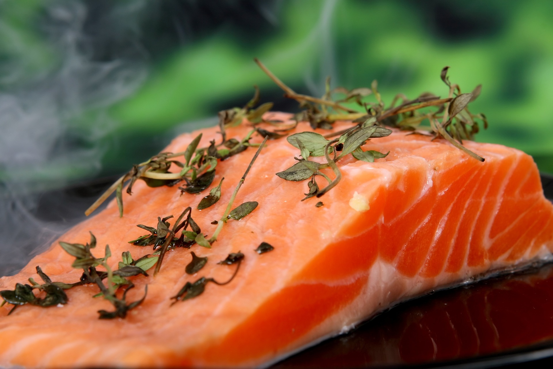 venta de salmon de mayores